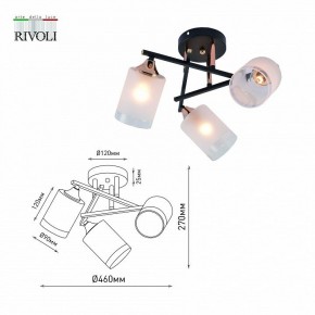 Люстра на штанге Rivoli Fiona Б0059259 в Ижевске - izhevsk.mebel24.online | фото