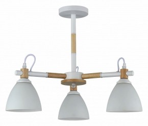 Люстра на штанге Rivoli Louise Б0060982 в Ижевске - izhevsk.mebel24.online | фото