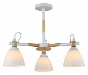 Люстра на штанге Rivoli Louise Б0060982 в Ижевске - izhevsk.mebel24.online | фото 2
