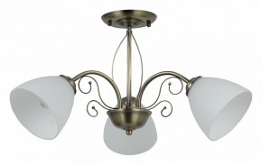 Люстра на штанге Rivoli Sue Б0060985 в Ижевске - izhevsk.mebel24.online | фото