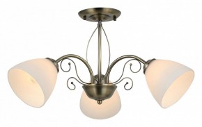 Люстра на штанге Rivoli Sue Б0060985 в Ижевске - izhevsk.mebel24.online | фото 2