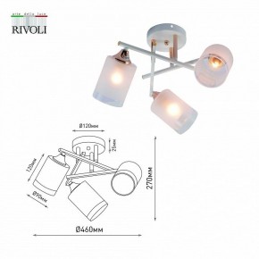 Люстра на штанге Rivoli Tammy Б0059258 в Ижевске - izhevsk.mebel24.online | фото
