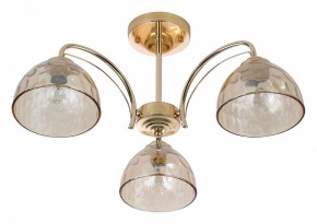 Люстра на штанге Rivoli Terri Б0060988 в Ижевске - izhevsk.mebel24.online | фото 2