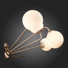 Люстра на штанге ST-Luce Redjino SLE106203-12 в Ижевске - izhevsk.mebel24.online | фото 7