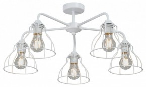 Люстра на штанге Vitaluce V3102 V3102-0/5PL в Ижевске - izhevsk.mebel24.online | фото
