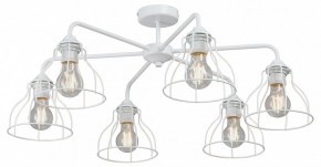 Люстра на штанге Vitaluce V3102 V3102-0/6PL в Ижевске - izhevsk.mebel24.online | фото