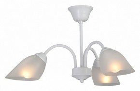 Люстра на штанге Vitaluce V3336 V3336-0/3PL в Ижевске - izhevsk.mebel24.online | фото