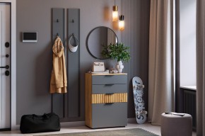 МЕБЕЛЬСОН К21 Прихожая  (графит) в Ижевске - izhevsk.mebel24.online | фото