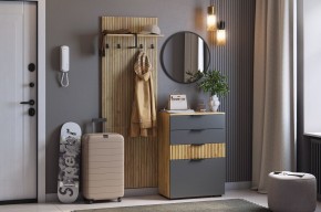 МЕБЕЛЬСОН К3 Прихожая (графит) в Ижевске - izhevsk.mebel24.online | фото