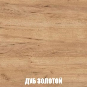 МСП-1 Шкаф 2-х створчатый (Дуб Золотой/Камень темный) в Ижевске - izhevsk.mebel24.online | фото 4