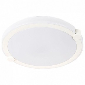Накладной светильник Arte Lamp Biscotti A2679PL-72WH в Ижевске - izhevsk.mebel24.online | фото