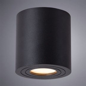 Накладной светильник Arte Lamp Galopin A1460PL-1BK в Ижевске - izhevsk.mebel24.online | фото 2