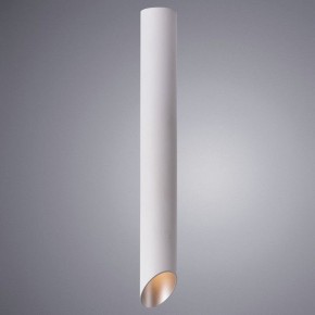 Накладной светильник Arte Lamp Pilon-Silver A1537PL-1WH в Ижевске - izhevsk.mebel24.online | фото 2