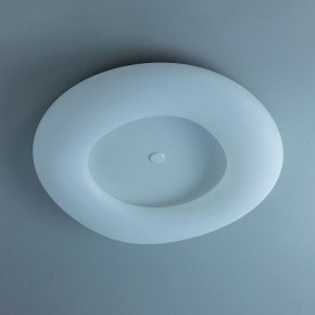 Накладной светильник Citilux Стратус Смарт CL732A800G в Ижевске - izhevsk.mebel24.online | фото 10
