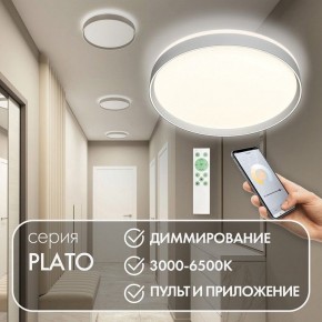 Накладной светильник Denkirs PLATO DK6511-WH/1 в Ижевске - izhevsk.mebel24.online | фото 4