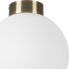 Накладной светильник Lightstar Globo 812021 в Ижевске - izhevsk.mebel24.online | фото 3