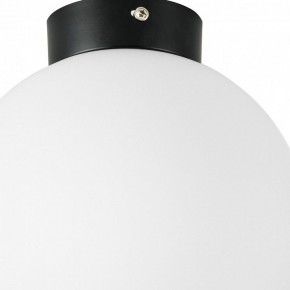 Накладной светильник Lightstar Globo 812027 в Ижевске - izhevsk.mebel24.online | фото 2