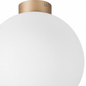 Накладной светильник Lightstar Globo 812033 в Ижевске - izhevsk.mebel24.online | фото 2