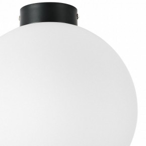 Накладной светильник Lightstar Globo 812037 в Ижевске - izhevsk.mebel24.online | фото 3