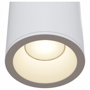 Накладной светильник Maytoni Zoom C029CL-01W в Ижевске - izhevsk.mebel24.online | фото 4