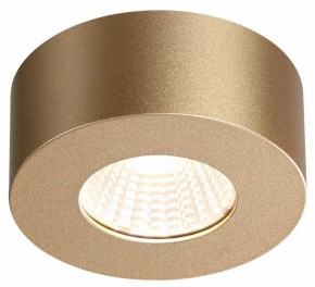 Накладной светильник Odeon Light Bene 4284/7CL в Ижевске - izhevsk.mebel24.online | фото 4