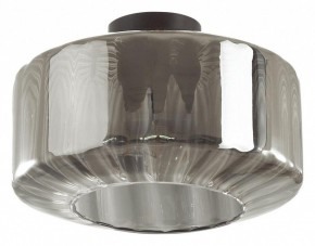 Накладной светильник Odeon Light Binga 4746/1C в Ижевске - izhevsk.mebel24.online | фото 2
