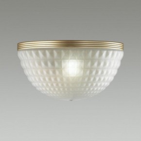 Накладной светильник Odeon Light Malaga 4936/1W в Ижевске - izhevsk.mebel24.online | фото 2