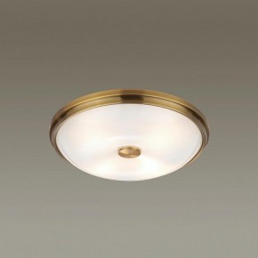 Накладной светильник Odeon Light Pelow 4956/4 в Ижевске - izhevsk.mebel24.online | фото 2
