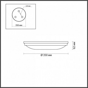 Накладной светильник Odeon Light Pelow 4956/4 в Ижевске - izhevsk.mebel24.online | фото 3