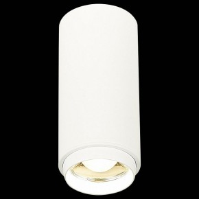 Накладной светильник ST-Luce Zoom ST600.542.10 в Ижевске - izhevsk.mebel24.online | фото 3