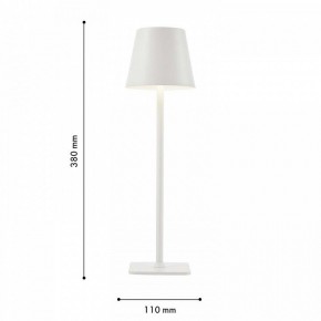 Настольная лампа декоративная F-promo Pyari 4614-1T в Ижевске - izhevsk.mebel24.online | фото 3