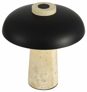 Настольная лампа декоративная ST-Luce Earthy SL1194.424.01 в Ижевске - izhevsk.mebel24.online | фото 5