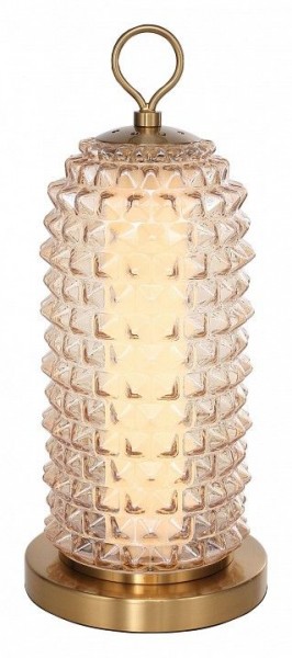 Настольная лампа декоративная ST-Luce SAGUARO SL6144.304.01 в Ижевске - izhevsk.mebel24.online | фото 2