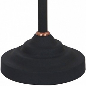 Настольная лампа офисная Arte Lamp Braccio A2054LT-1BK в Ижевске - izhevsk.mebel24.online | фото 4