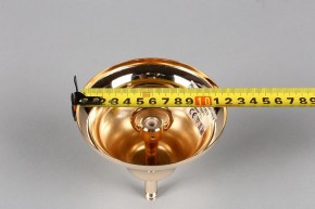 Подвесная люстра Aployt Daniele APL.701.03.12 в Ижевске - izhevsk.mebel24.online | фото 6