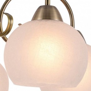 Подвесная люстра Arte Lamp Margo A9317LM-5AB в Ижевске - izhevsk.mebel24.online | фото 2