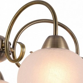 Подвесная люстра Arte Lamp Margo A9317LM-5AB в Ижевске - izhevsk.mebel24.online | фото 3