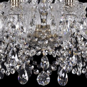 Подвесная люстра Bohemia Ivele Crystal 1411 1411/10/195/Pa в Ижевске - izhevsk.mebel24.online | фото 3