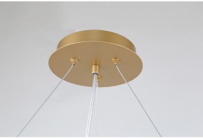 Подвесная люстра Favourite Ginkoa 4080-10P в Ижевске - izhevsk.mebel24.online | фото 9