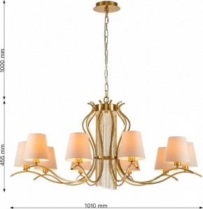 Подвесная люстра Favourite Ketten 2867-10P в Ижевске - izhevsk.mebel24.online | фото 4