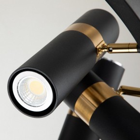 Подвесная люстра Favourite Light point 2997-9P в Ижевске - izhevsk.mebel24.online | фото 5