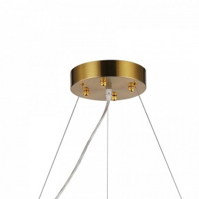 Подвесная люстра Favourite Magnitudo 2206-12P в Ижевске - izhevsk.mebel24.online | фото 7