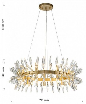 Подвесная люстра Favourite Rays 4058-14P в Ижевске - izhevsk.mebel24.online | фото 7