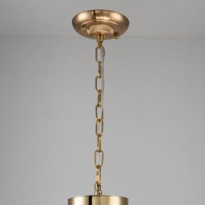 Подвесная люстра Favourite Rocca 2689-6P в Ижевске - izhevsk.mebel24.online | фото 4