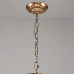 Подвесная люстра Favourite Rocca 2689-9P в Ижевске - izhevsk.mebel24.online | фото 2