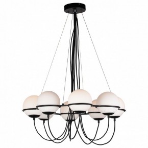 Подвесная люстра Lightstar Globo 803287 в Ижевске - izhevsk.mebel24.online | фото 3