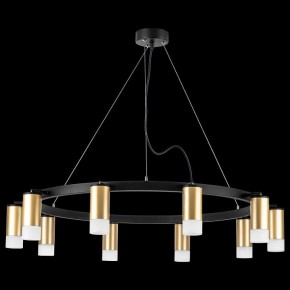 Подвесная люстра Lightstar Rullo LR0204001 в Ижевске - izhevsk.mebel24.online | фото 3