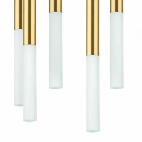 Подвесная люстра Lightstar Tubo L8T747133 в Ижевске - izhevsk.mebel24.online | фото 5