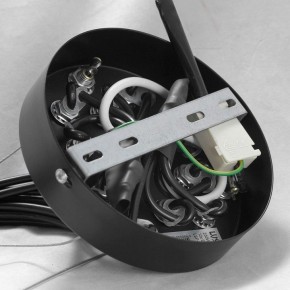 Подвесная люстра Lussole Seneca GRLSP-8177 в Ижевске - izhevsk.mebel24.online | фото 10