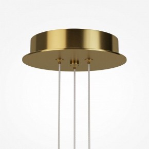 Подвесная люстра Maytoni Arana MOD401PL-L108BS3K в Ижевске - izhevsk.mebel24.online | фото 7